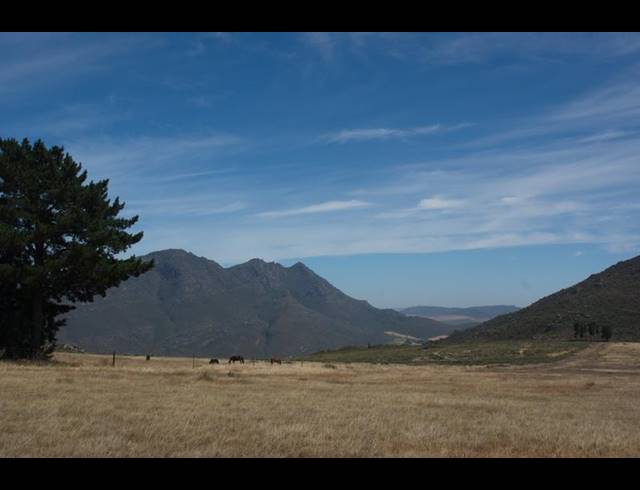 FARM FOR SALE IN PIKETBERG RURAL